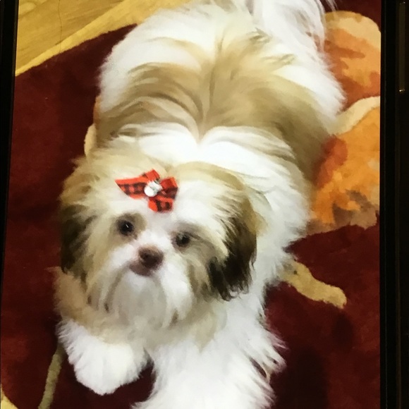 Meet your Posher, Jen - Picture 8 of 11